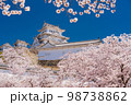 （兵庫県）世界遺産　姫路城　満開の桜 98738862