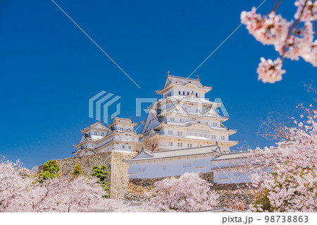 （兵庫県）世界遺産　姫路城　満開の桜 98738863
