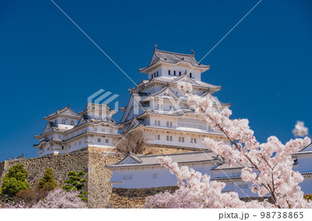 （兵庫県）世界遺産　姫路城　満開の桜 98738865