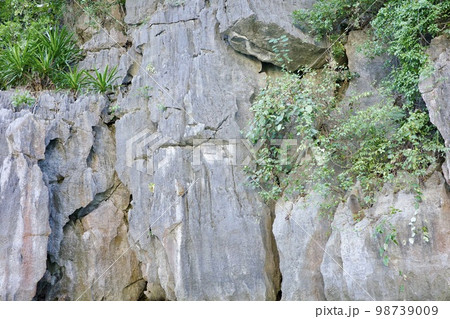 ハノイのハロン湾 98739009