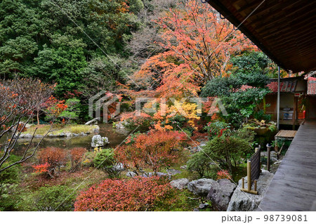 紅葉した京都市山科の毘沙門堂庭園 晩翠園 紅葉した京都市山科の毘沙門堂庭園 晩翠園 98739081