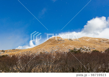 雪の北九州国定公園平尾台 雪の北九州国定公園平尾台 98739923