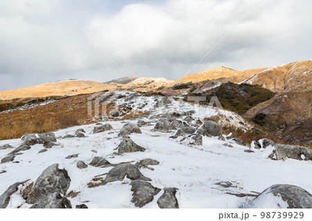 雪の北九州国定公園平尾台 雪の北九州国定公園平尾台 98739929