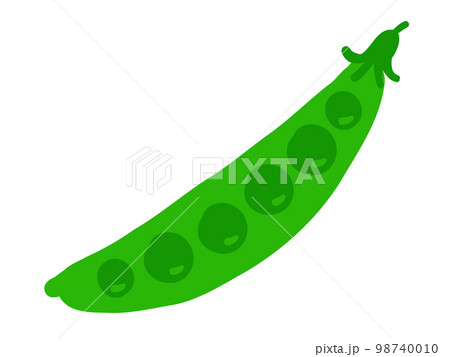 かわいいエンドウ豆／手描きイラスト素材 98740010