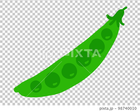 かわいいエンドウ豆／手描きイラスト素材 98740010