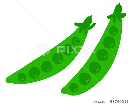 かわいいエンドウ豆／手描きイラスト素材 98740011