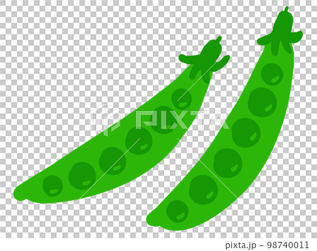 かわいいエンドウ豆／手描きイラスト素材 98740011