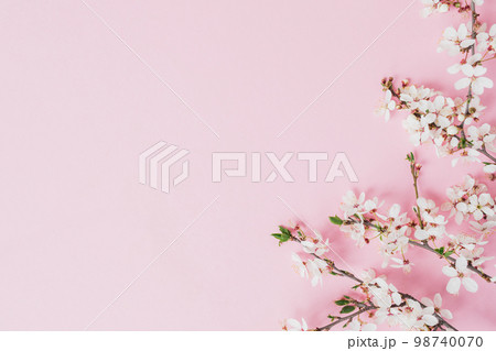 Spring concept with blossom fruit flowers on pink. Flat lay, top view. 98740070