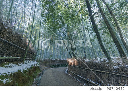 嵐山　雪が残る冬の竹林の小径 98740432