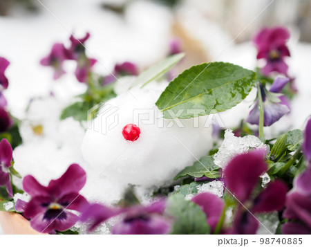 パンジーと雪うさぎ パンジーと雪うさぎ 98740885
