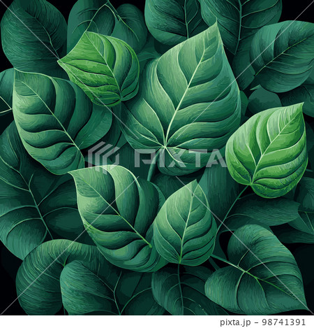 Texture of green leaves, green background pattern - Vector Texture of green leaves, green background pattern - Vector 98741391