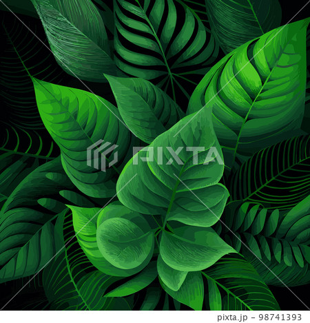 Texture of green leaves, green background pattern - Vector 98741393