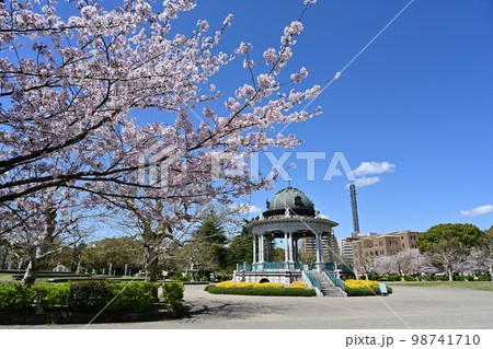 春の鶴舞公園 春の鶴舞公園 98741710