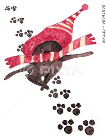 A black rabbit in a striped hat and scarf is tired and lies surrounded by his footprints. Sketchy cartoon. Isolated character watercolor illustration for your design 98742000