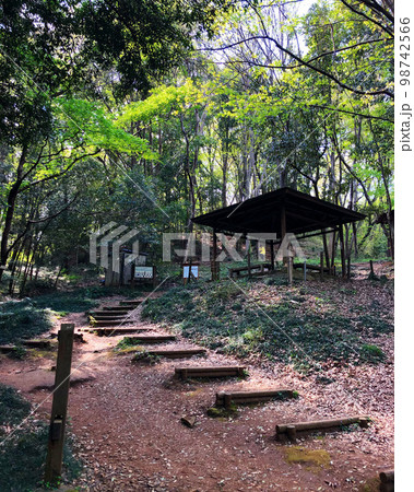 東屋の佇むトトロの森 98742566