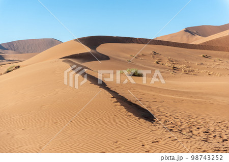 Barren landscape near Deadvlei and sossusvlei 98743252