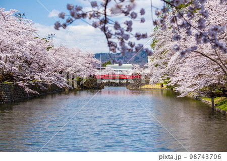 山形米沢の春　桜満開の松が岬公園（米沢城址） 98743706