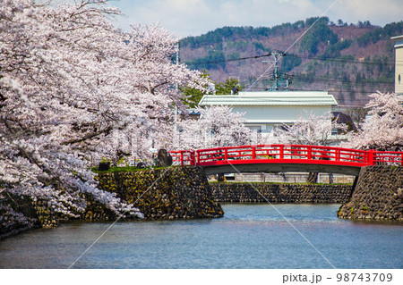 山形米沢の春　桜満開の松が岬公園（米沢城址）　菱門橋 98743709