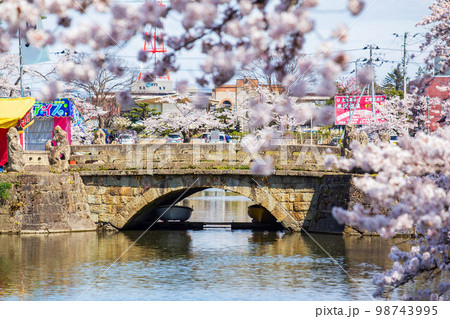 山形米沢の春　桜満開の松が岬公園（米沢城址）　舞鶴橋 98743995
