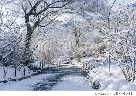 雪化粧をした天龍寺境内 98744041