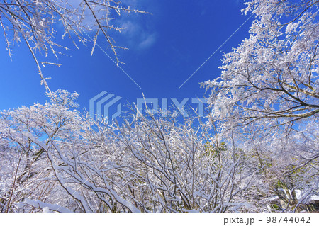 雪化粧をした天龍寺境内 98744042