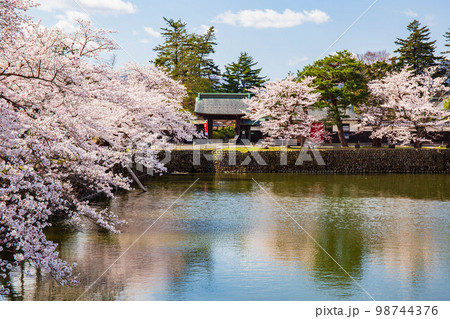 山形米沢の春　桜満開の松が岬公園（米沢城址） 98744376