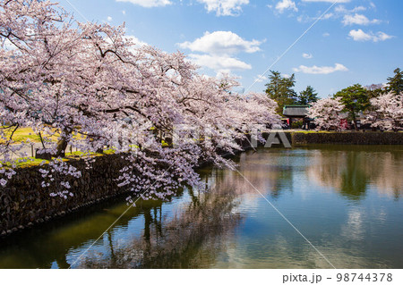 山形米沢の春　桜満開の松が岬公園（米沢城址） 98744378