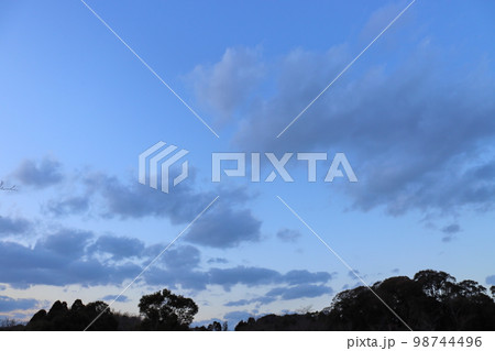 夕暮れの空　雲　木 98744496