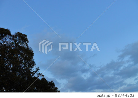 夕暮れの空　雲　木 98744502