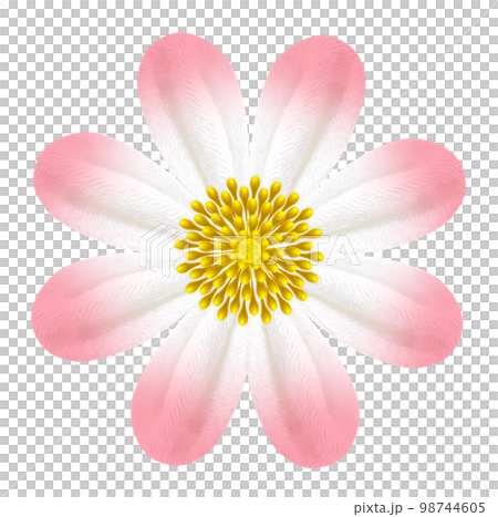 用旋鈕製作的花卉圖案 98744605