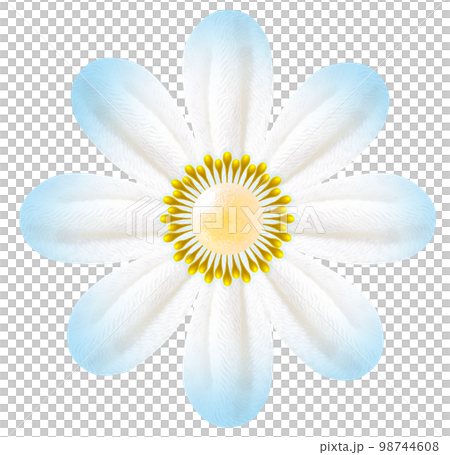 用旋鈕製作的花卉圖案 用旋鈕製作的花卉圖案 98744608