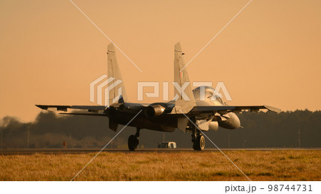 インド空軍スホーイSu-30MKI着陸 98744731