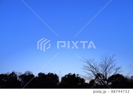 夕暮れの空 木 夕暮れの空 木 98744732