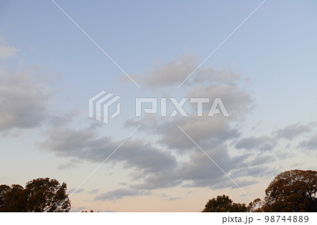夕暮れの空　雲　木 98744889