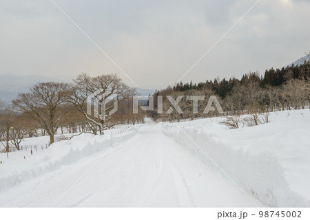 鬼首の雪景色・鳴子温泉鬼首(宮城県) 鬼首の雪景色・鳴子温泉鬼首(宮城県) 98745002