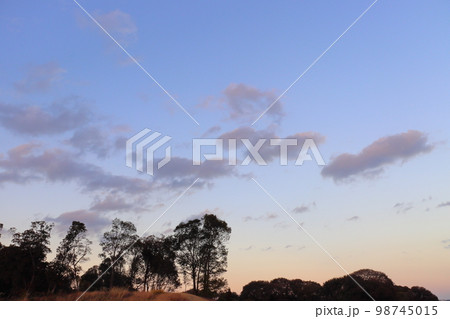 夕暮れの空　雲　木 98745015
