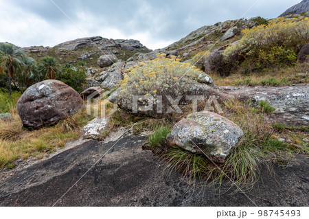 Andringitra national park,mountain landscape, Madagascar wilderness landscape 98745493