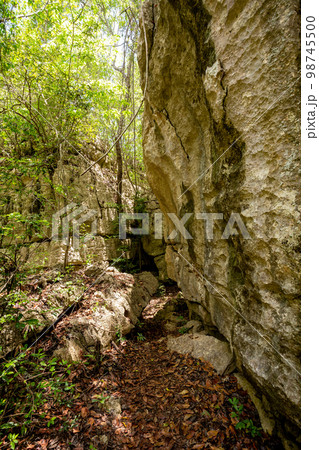 Petit Tsingy de Bemaraha, Madagascar wilderness landscape 98745500