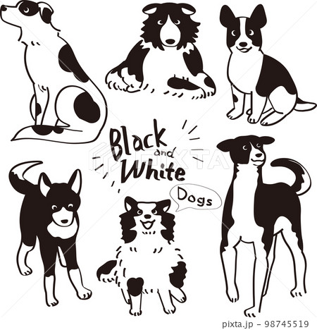 白黒の雑種犬のイラスト 98745519