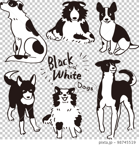 白黒の雑種犬のイラスト 98745519