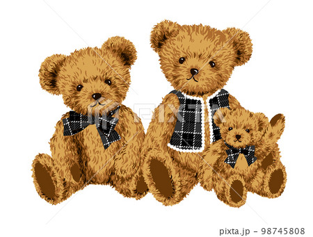 かわいい三匹のくまのぬいぐるみのイラスト　テディベア　チェック柄 98745808