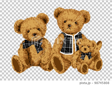 かわいい三匹のくまのぬいぐるみのイラスト　テディベア　チェック柄 98745808