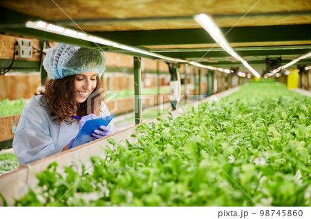Joyful female gardener standing by shelf with green leafy plants and writing on clipboard. Smiling woman agricultural scientist studying plant growth and taking notes in greenhouse. Joyful female gardener standing by shelf with green leafy plants and writing on clipboard. Smiling woman agricultural scientist studying plant growth and taking notes in greenhouse. 98745860