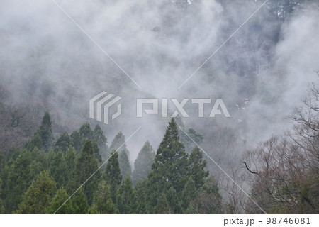 【鳥取県三朝町】三徳山三佛寺投入堂、雨の情景 98746081