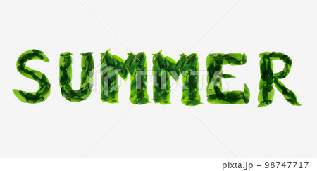 Mint leaves isolated on white background. The inscription calligraphic font: freshness. 98747717
