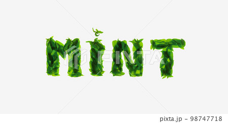 Mint leaves isolated on white background. The inscription calligraphic font: freshness. Mint leaves isolated on white background. The inscription calligraphic font: freshness. 98747718