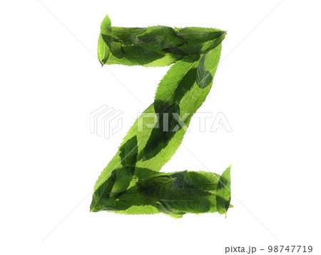 English alphabet made of a mint leaves isolated on white background. English alphabet made of a mint leaves isolated on white background. 98747719