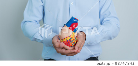 man holding human Heart model. Cardiovascular Diseases, Atherosclerosis, Hypertensive Heart, Valvular Heart, Aortopulmonary window, world Heart day and health concept man holding human Heart model. Cardiovascular Diseases, Atherosclerosis, Hypertensive Heart, Valvular Heart, Aortopulmonary window, world Heart day and health concept 98747843