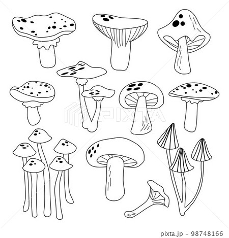 Black and white mushrooms set. Outline design. Decorative style collection hand drawn. Different cartoon mushrooms. Vector illustration. EPS 98748166