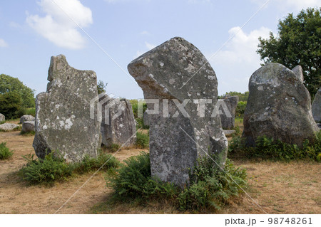 Alignment of Kerzerho - rows of menhirs in Brittany 98748261
